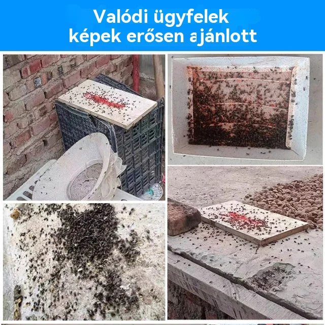 🔥Különleges ajánlat🦟Kifejezetten szúnyogok és legyek irtására tervezték a farmokon, egy csomag elpusztítja a bolhákat/szöcskéket/csótányokat/legyeket/szúnyogokat!